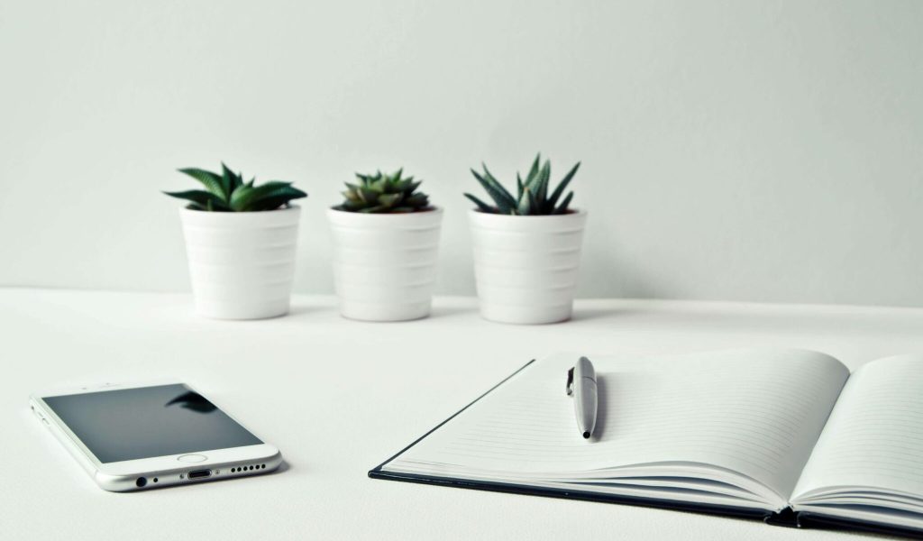 pexels-nietjuh-796602 (1)